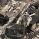 Image for article titled Ford Festiva Shogun Destroyed In Colorado Wildfire